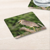 Juvenile Black Crowned Night Heron Kartonnen Onderzetters (Schuin)