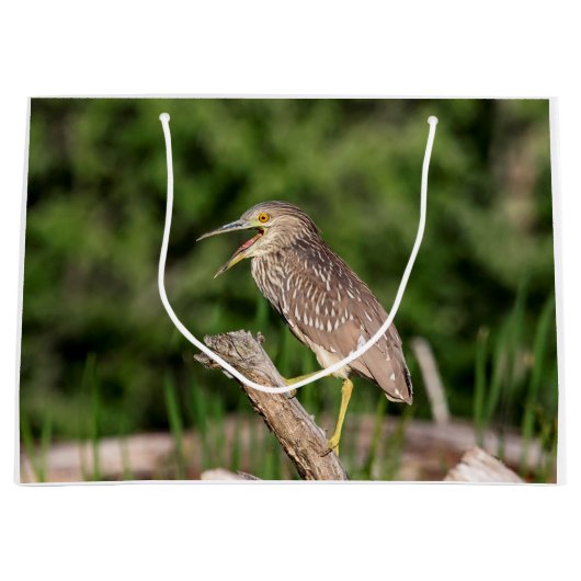 Juvenile Black Crowned Night Heron Large Cadeautasje (Voorkant)