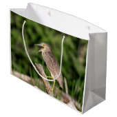 Juvenile Black Crowned Night Heron Large Cadeautasje (Achterkant Gekanteld)