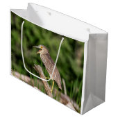 Juvenile Black Crowned Night Heron Large Cadeautasje (Voorkant Gekanteld)
