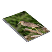 Juvenile Black Crowned Night Heron Notitieboek (Rechterzijde)