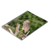 Juvenile Black Crowned Night Heron Notitieboek (Linkerzijde)