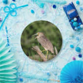 Juvenile Black Crowned Night Heron Papieren Bordje (Feest)