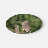 Juvenile Black Crowned Night Heron Papieren Bordje (Gekanteld)