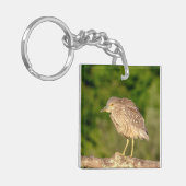 Juvenile Black Crowned Night Heron Sleutelhanger (Voorkant Links)