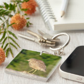 Juvenile Black Crowned Night Heron Sleutelhanger (Voorkant Rechts)