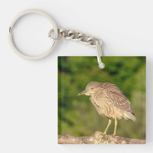 Juvenile Black Crowned Night Heron Sleutelhanger (Voorkant)
