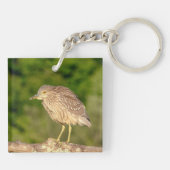 Juvenile Black Crowned Night Heron Sleutelhanger (Achterkant)