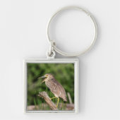 Juvenile Black Crowned Night Heron Sleutelhanger (Voorkant)
