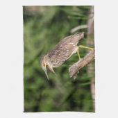 Juvenile Black Crowned Night Heron Theedoek (Verticaal)