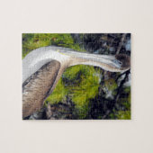 Juvenile Brown Pelican Legpuzzel (Horizontaal)