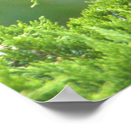 Juvenile Geel-vol Poster Night-Heron (Hoek)