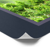 Juvenile Geel-vol Poster Night-Heron (Hoek)