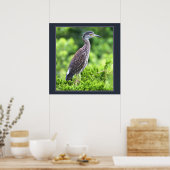 Juvenile Geel-vol Poster Night-Heron (Keuken)