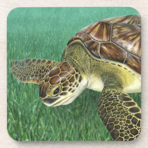 Juvenile Green Turtle Onderzetters