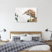 Juvenile Heron Canvas Afdruk (Insitu (Slaapkamer))