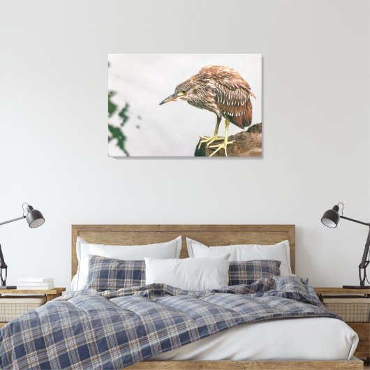 Juvenile Heron Canvas Afdruk (Insitu (Slaapkamer))