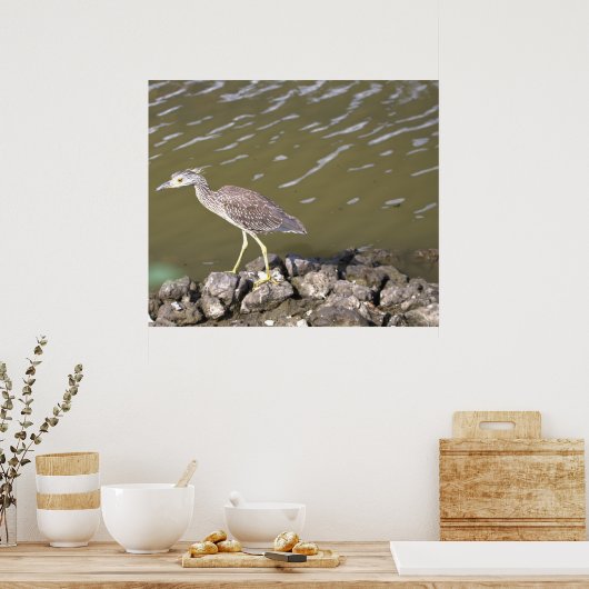 Juvenile Heron Poster (Keuken)