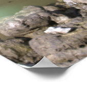 Juvenile Heron Poster (Hoek)