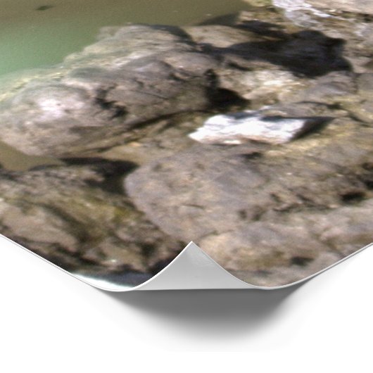 Juvenile Heron Poster (Hoek)