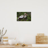Juvenile Ibis Bird Poster (Keuken)