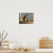 Juvenile Night Heron Foto Poster (Keuken)