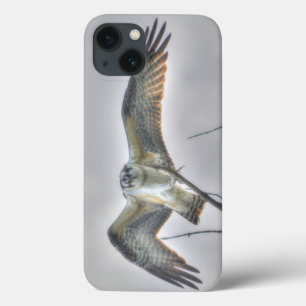 Juvenile Osprey Fish-Eagle Wildlife Photo Scene Case-Mate iPhone Case