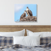 Juvenile Osprey in het nest Canvas Afdruk (Insitu (Slaapkamer))