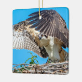 Juvenile Osprey in het nest Keramisch Ornament (Links)