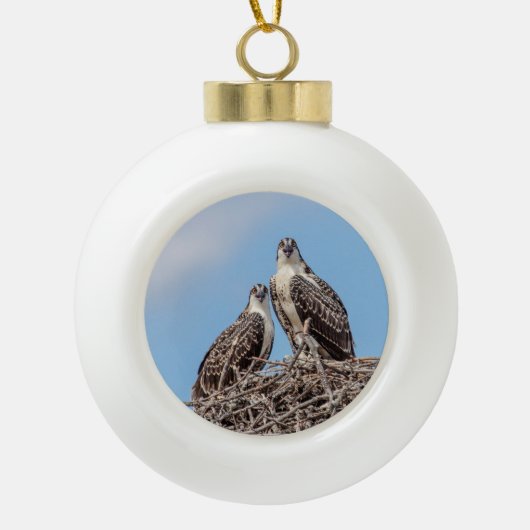 Juvenile Osprey in het nest Keramische Bal Ornament (Voorkant)