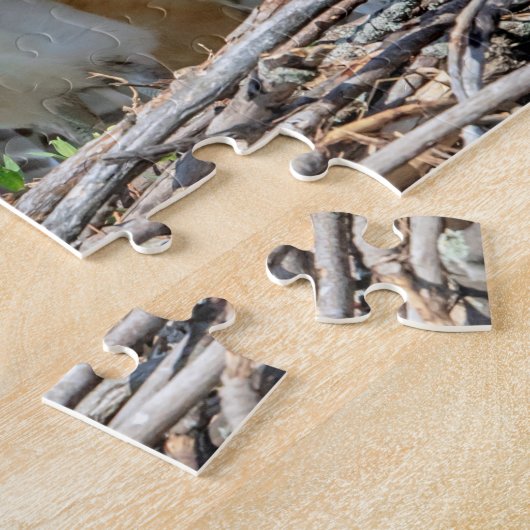 Juvenile Osprey in het nest Legpuzzel (Zijkant)