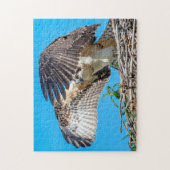 Juvenile Osprey in het nest Legpuzzel (Verticaal)