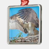 Juvenile Osprey in het nest Metalen Ornament (Links)