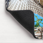 Juvenile Osprey in het nest Muismat (Hoek)