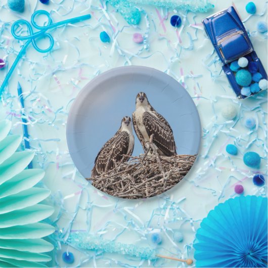 Juvenile Osprey in het nest Papieren Bordje (Feest)