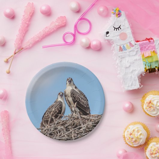 Juvenile Osprey in het nest Papieren Bordje (Feest)