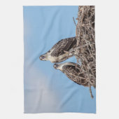 Juvenile Osprey in het nest Theedoek (Verticaal)