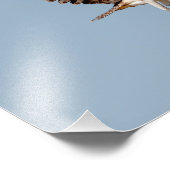 Juvenile Osprey tijdens de vlucht Foto Afdruk (Hoek)