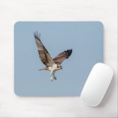 Juvenile Osprey tijdens de vlucht Muismat (Met muis)