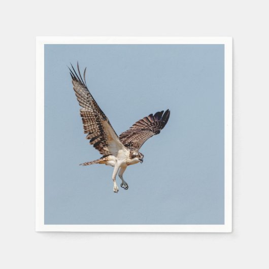Juvenile Osprey tijdens de vlucht Servetten (Voorkant)