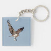 Juvenile Osprey tijdens de vlucht Sleutelhanger (Achterkant)