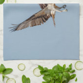 Juvenile Osprey tijdens de vlucht Theedoek (Gevouwen)