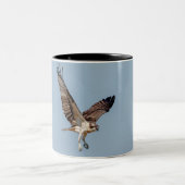 Juvenile Osprey tijdens de vlucht Tweekleurige Koffiemok (Center)