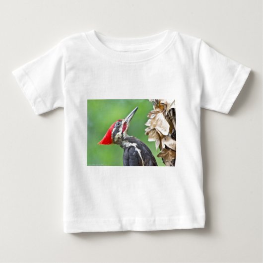 Juvenile pileated Woodpecker Profile Gifts Apparel (Voorkant)