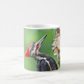 Juvenile pileated Woodpecker Profile Gifts Apparel Koffiemok (Center)