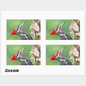 Juvenile pileated Woodpecker Profile Gifts Apparel Rechthoekige Sticker (Vel)