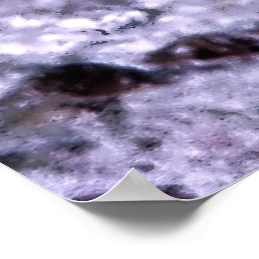 Juvenile Red Coris Wrasse Poster (Hoek)