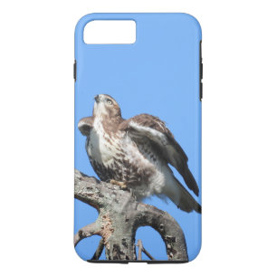 Juvenile Red Tail Hawk iPhone 8/7 Plus Hoesje