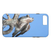 Juvenile Red Tail Hawk Case-Mate iPhone Case (Achterkant (Horizontaal))