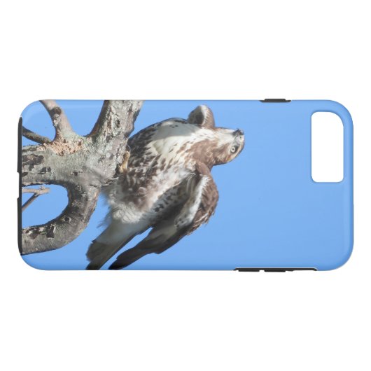 Juvenile Red Tail Hawk Case-Mate iPhone Case (Achterkant (Horizontaal))